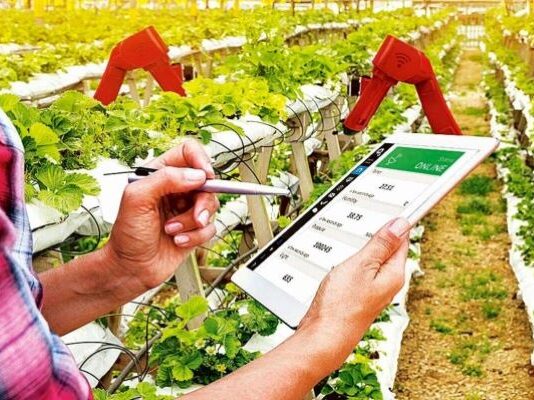 FAO launches new digital tool to help farmers grow the right crops in the right places
