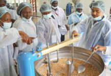 ICRISAT, FAO collaborate to tackle hidden hunger in East and Southern Africa with innovative agribusiness proposal