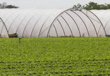 Agricultural films and bonding market positioned for expansion amid rising industry demand