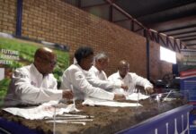 Engen and Grain SA team up at Nampo to propel agriculture sector forward