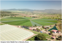 AgDevCo in equity investment deal with Agris for growth of fresh-food production and distribution in East Africa