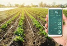 Comprehensive Overview and Future Outlook of Imaging Technology for Precision Agriculture