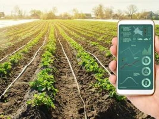 Comprehensive Overview and Future Outlook of Imaging Technology for Precision Agriculture