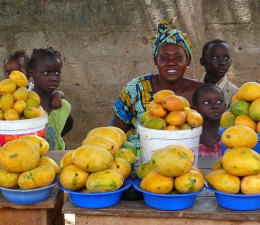 Senegal launches Africa Integrated Climate Risk Management Programme to support smallholder farmers.