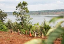 UNEP project aiding over 2,000 Burundian farmers adopt nature-based solutions to climate crisis