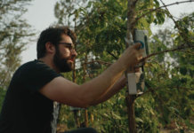 Cisco, partners help Tanzanian coffee growers boost yields sustainably using IoT