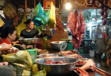 The AU and ILRI set to develop first-ever guidelines to help African governments improve food safety in informal food markets