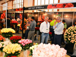 Kenya’s flower exporters face mounting losses as freight costs soar amid Middle East crisis