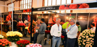 Kenya’s flower exporters face mounting losses as freight costs soar amid Middle East crisis