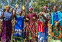 IFAD welcomes Canada’s generous contribution to fight hunger and poverty and urges other member states to do the same