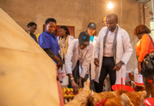 Rwanda, FAO set poultry model farms to boost food security and income for youth and women