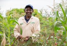 Kitui Farmers See Success with introduction of Regenerative Agriculture Practices