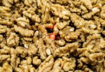 Chilean walnut producer Quelen Fruit easily exceeds European Category 1 quality standards with TOMRA Food