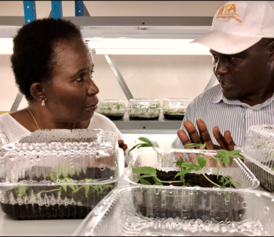 AfDB, African Union, United States Government, IFAD, CGIAR advance ties to boost Africa’s food production