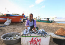 AfCFTA, Mastercard and TradeMark Africa launch four-year fisheries program to empower women and youth in Africa