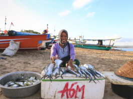 Global fisheries, aquaculture production hits record 235M tonnes, trade tops US$184bn– SOFIA report