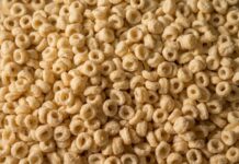 Twin-screw extrusion technology for agro-processing