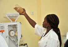 Togo: AfDB grants a loan of over USD 26 million to develop key agricultural sectors through private-sector investments