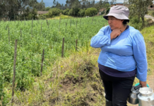 ABC Fund helps bridge finance gap for farmers in Colombia by investing EUR€1.1m in MiCreditoYa Microfinanciera SAS