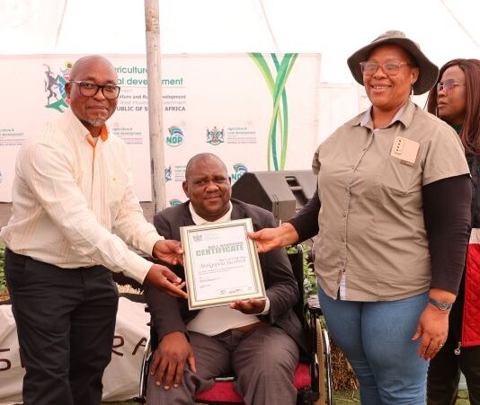 North West Province Boosts Women-Led Farms with Quality Bulls