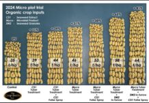 The Power of Stacking Biostimulants