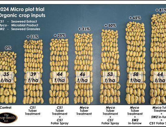 The Power of Stacking Biostimulants