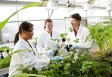 Open Innovation: Bayer awards incubator opportunity to Genvor