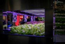 Agriculture on a high level: Controlled Environment Agriculture as a blueprint for production systems of the future