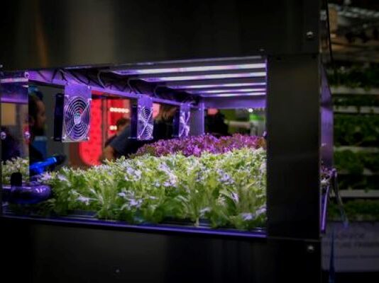 Agriculture on a high level: Controlled Environment Agriculture as a blueprint for production systems of the future