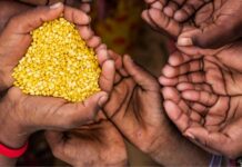 One in eleven people worldwide suffered from hunger-latest SOFI report