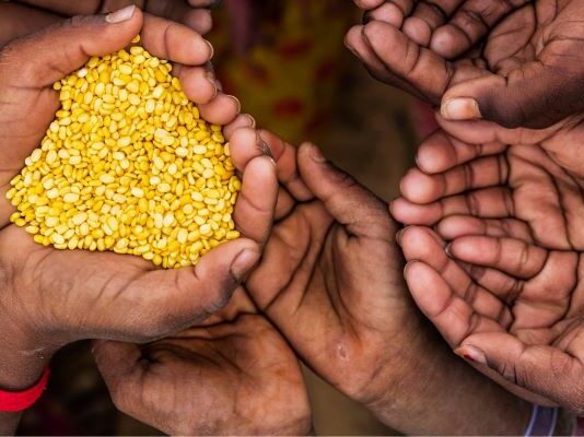 Global hunger falls but 645 million people still faced hunger in 2025, FAO says