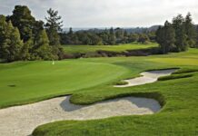 Natural mineral acts as slow-release fertiliser