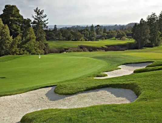 Natural mineral acts as slow-release fertiliser