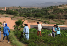 Intercultural Solidarity Achieving Agricultural Opportunity in Morocco
