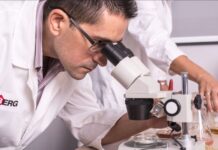 Battling Mycotoxins in Poultry: How INBERG is Leading the Charge