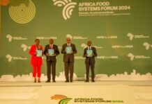 MSMEs Highlighted as a Force in Building Africa’s Food Systems in the Latest Leading Agriculture Report