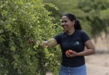 IFAD urges G20 leaders to invest in sustainable agriculture and rural development