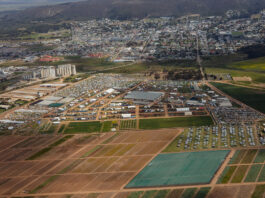 Grain SA champions financing, market expansion, and value-chain solutions at NAMPO 2026