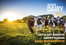 Getting serious about regenerative dairy
