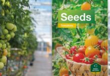 SÜDPACK debuts at “Seed meets Technology”