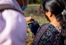 UN Agency IFAD wins global award for fund traceability innovation using blockchain