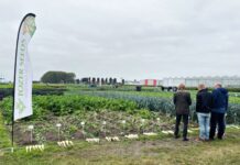 Tozer showcases wide range of vegetable seed innovations at Dutch Field Trials