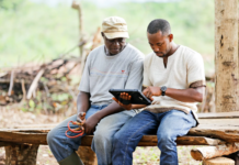 Rainforest Alliance to unveil new tool to help farmers meet EUDR compliance