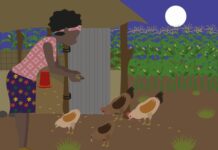 WPF releases training materials to help farmers keep poultry healthy