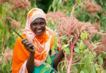 Vegetable farming and value addition project empowers Zanzibar women with nutrition and income security