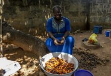 2024 Climate Action Report: IFAD expands its climate finance for more resilient rural populations