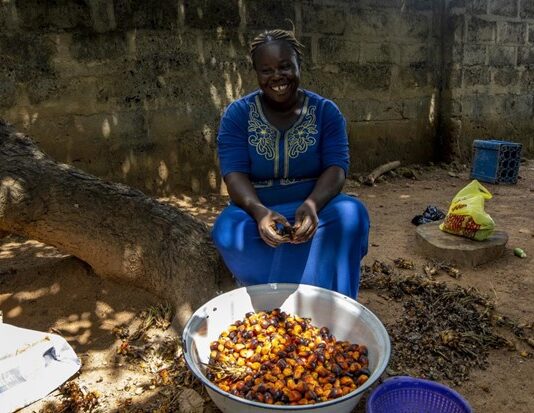 Bigger and smarter investments in small-scale agriculture are key to build a prosperous Africa