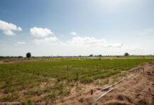 Modernizing Agriculture: African Development Fund Project Changes Lives in Benin’s Ouémé Valley