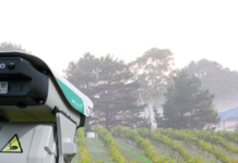 Gallo Implements Laser Bird Deterrent Technology for Sustainable Agriculture