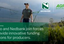 Agrico and Nedbank join forces to provide innovative funding solutions for producers